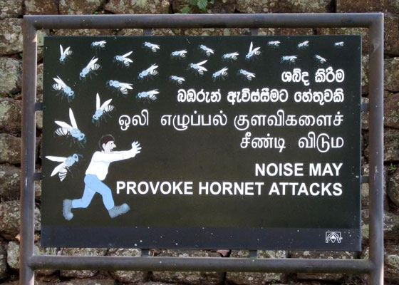 Engrish Sign