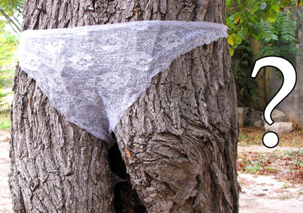 tree wearing underwear